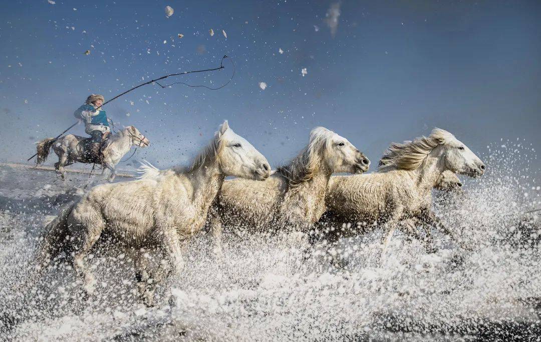 蒙古队选手表现出色,勇往直前的简单介绍 蒙古队选手表现出色,勇往直前的简单介绍